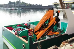416.cat02m.125.20a 2 768x512